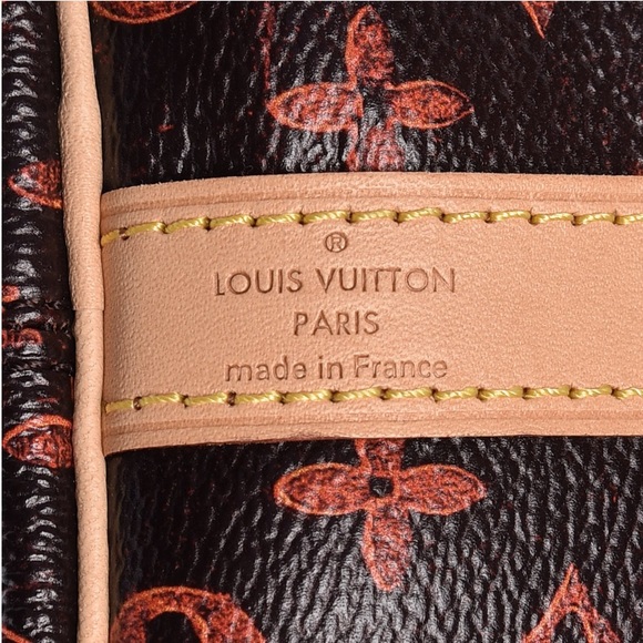 **SOLD** Louis Vuitton x Grace Coddington Catogram - Picture 7 of 7